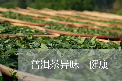 普洱茶异味 健康/2023041010591